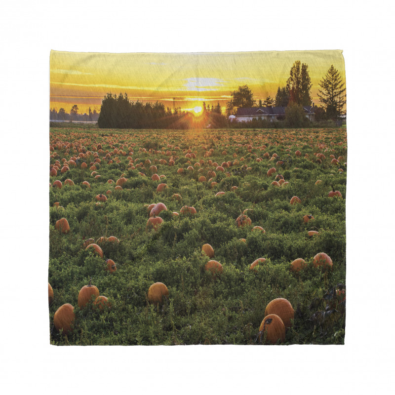 Fall Patch at Sunset Bandana