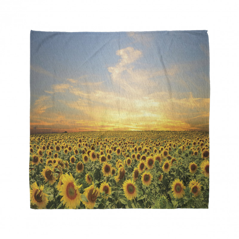 Blooming Farm at Sunset Bandana