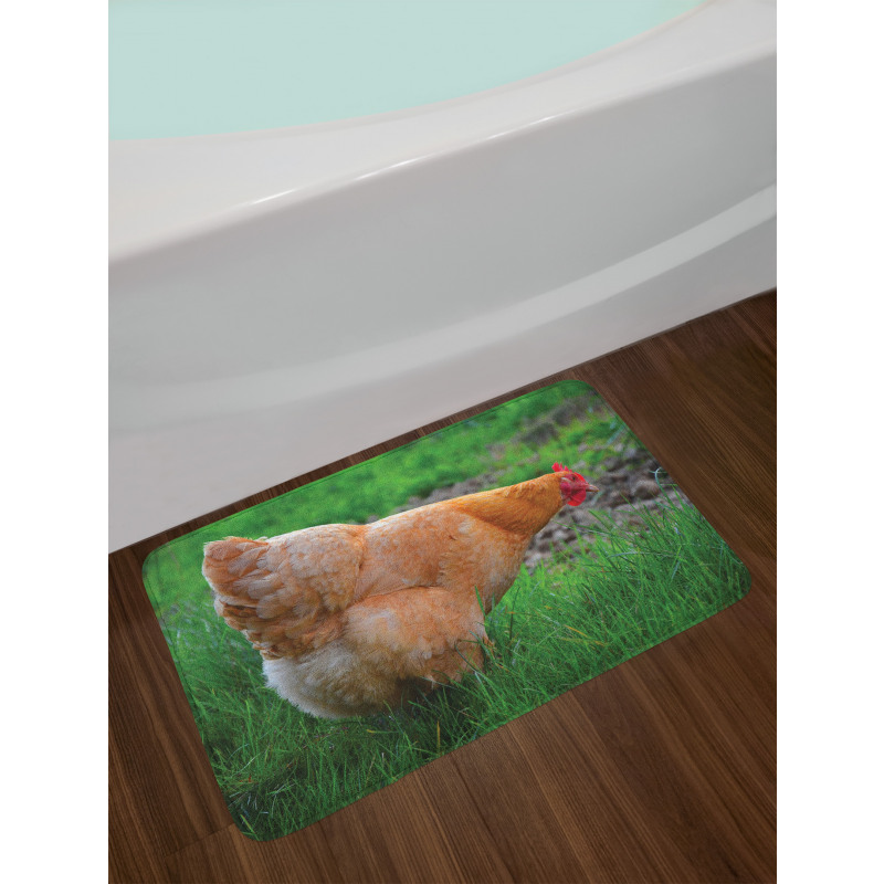 Chicken on Grass Farm Photo Bath Mat