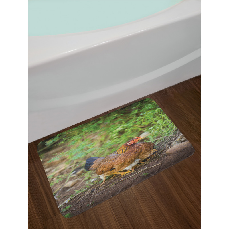 Chicken on Babies Bath Mat