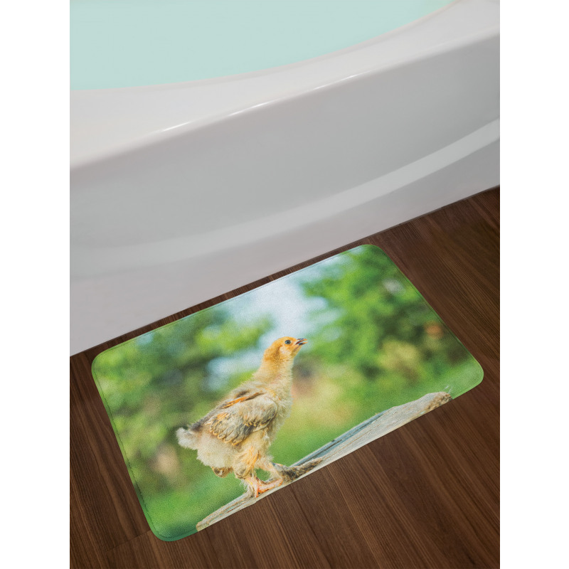 Little Baby Chicken on Log Bath Mat