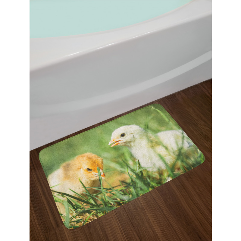 Close up Photo Baby Chickens Bath Mat