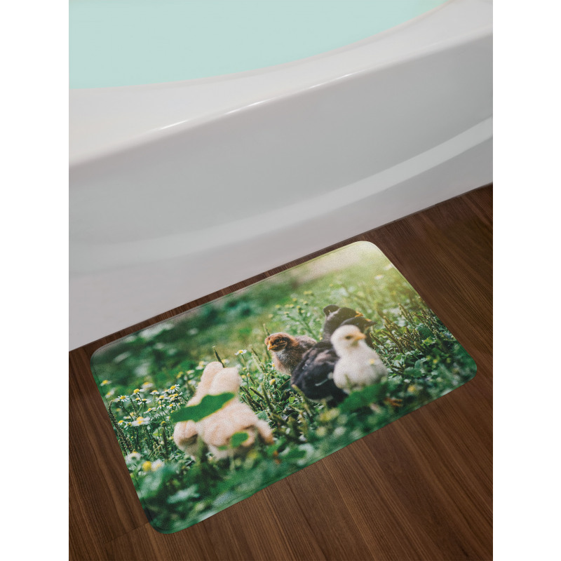 Little Chickens in Daisies Bath Mat