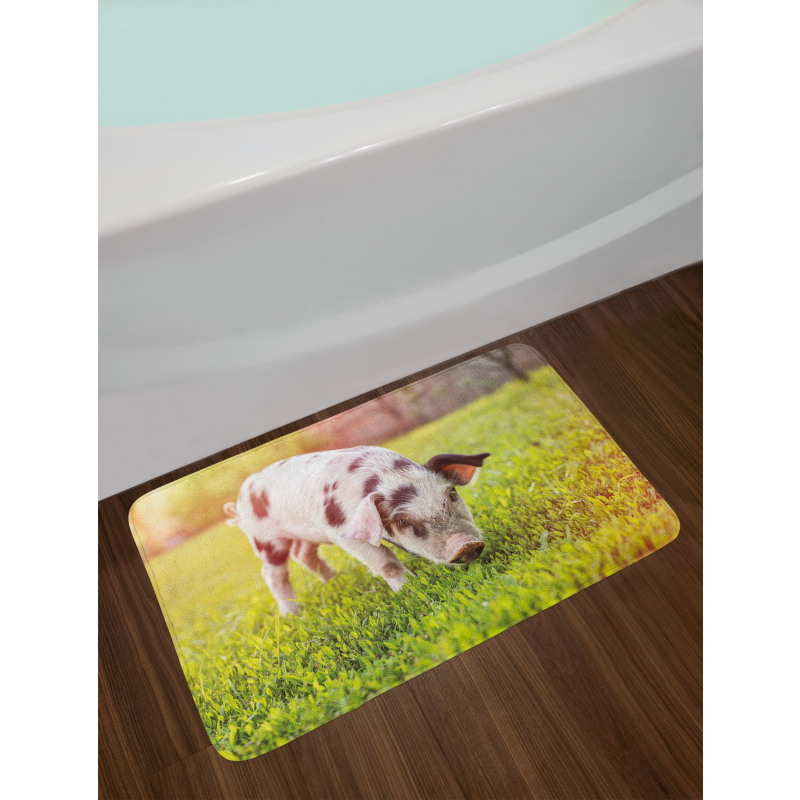 Baby Pig with Spots Bath Mat