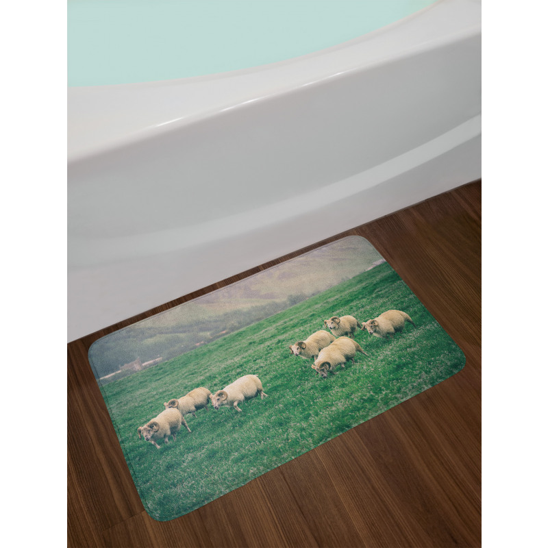 Sheep Grazing on Grass Bath Mat