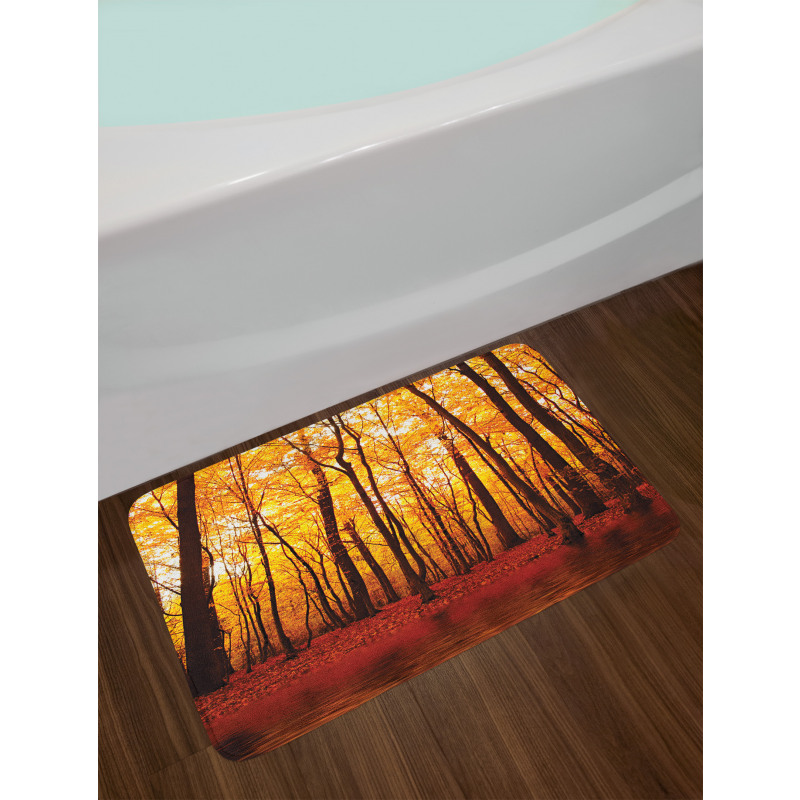 Autumn Forest Trees Bath Mat