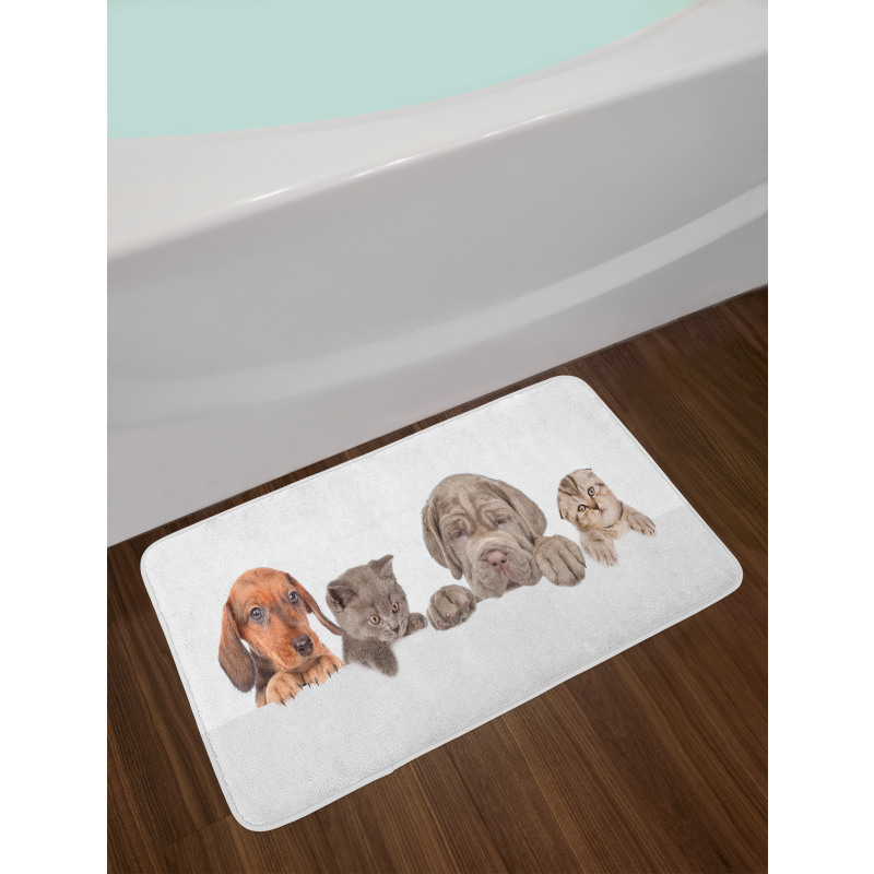 Pets Peeking over Wall Bath Mat