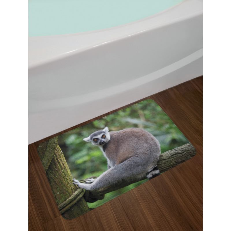 Photo of Madagascar Mammal Bath Mat