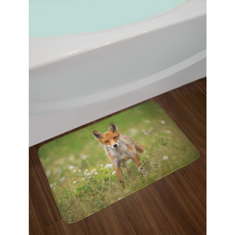 Young Curious Coyote Animal Bath Mat