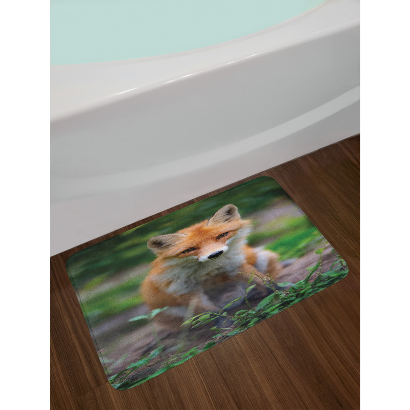 Young Coyote Photo Bath Mat