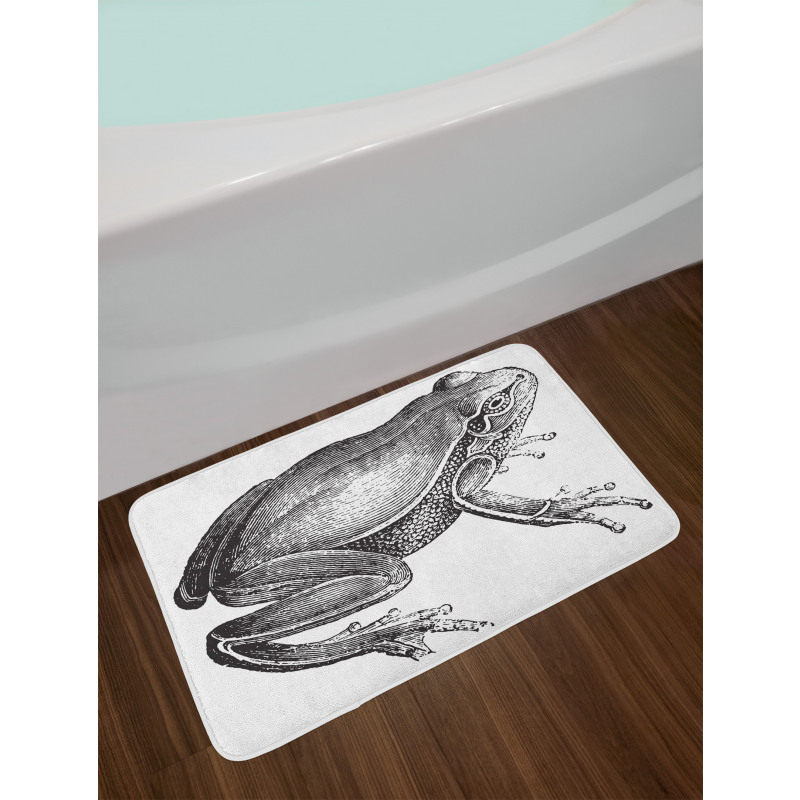 Engraved Amphibian Fauna Art Bath Mat