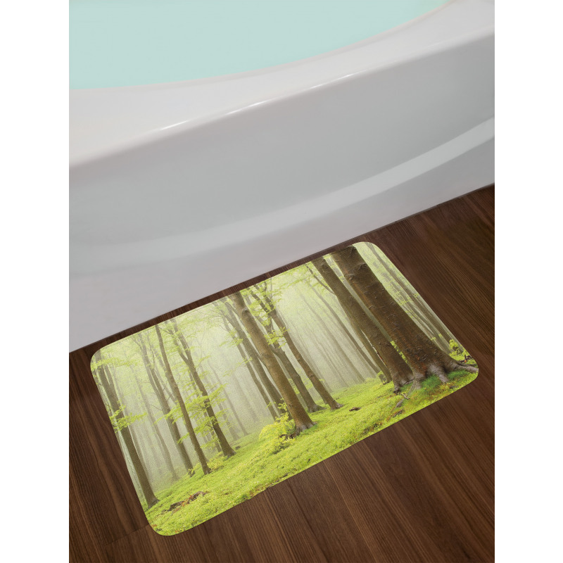 Misty Beech Forest Photo Bath Mat