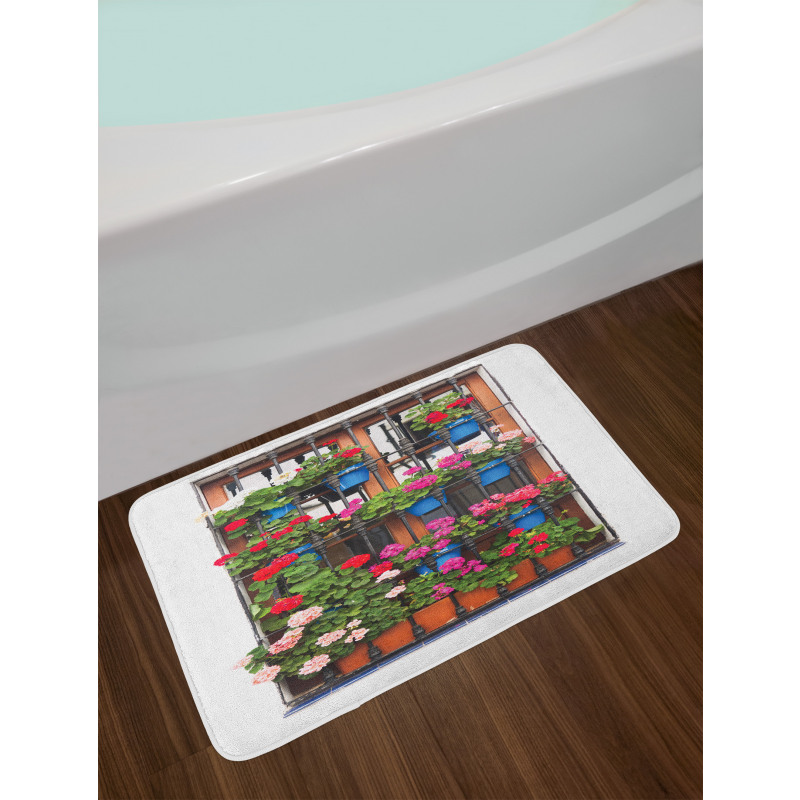 Flower Pots on Old Window Bath Mat