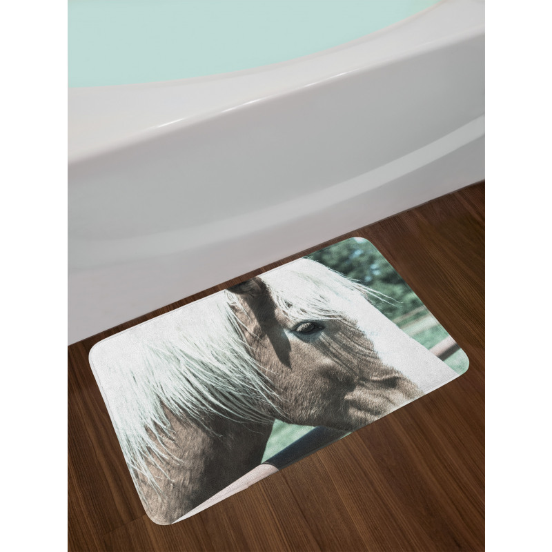 Draft Horse from Netherlands Bath Mat