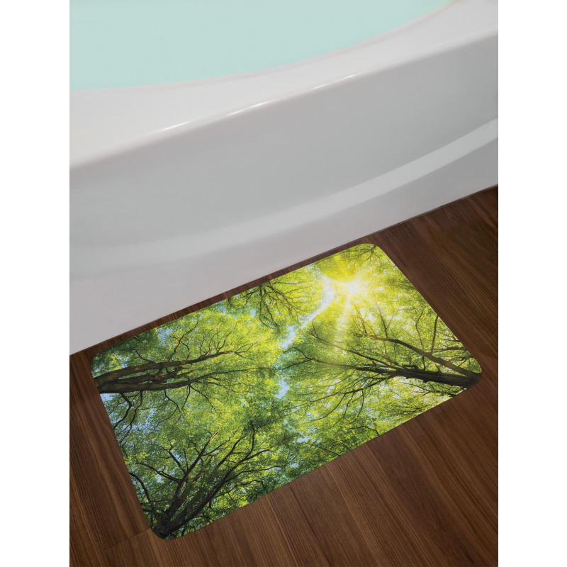 Romantic Beech Trees Bath Mat