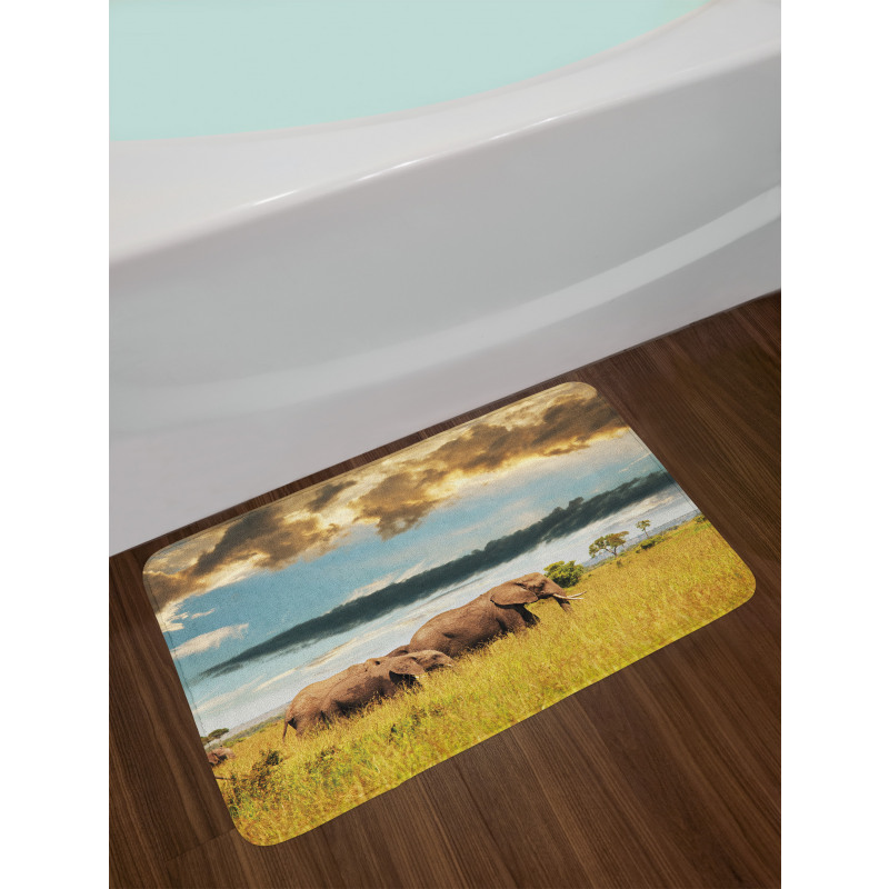 Elephant Family Photo Bath Mat