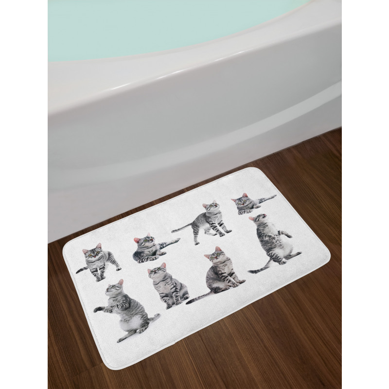 Striped Furry Animal Posing Bath Mat