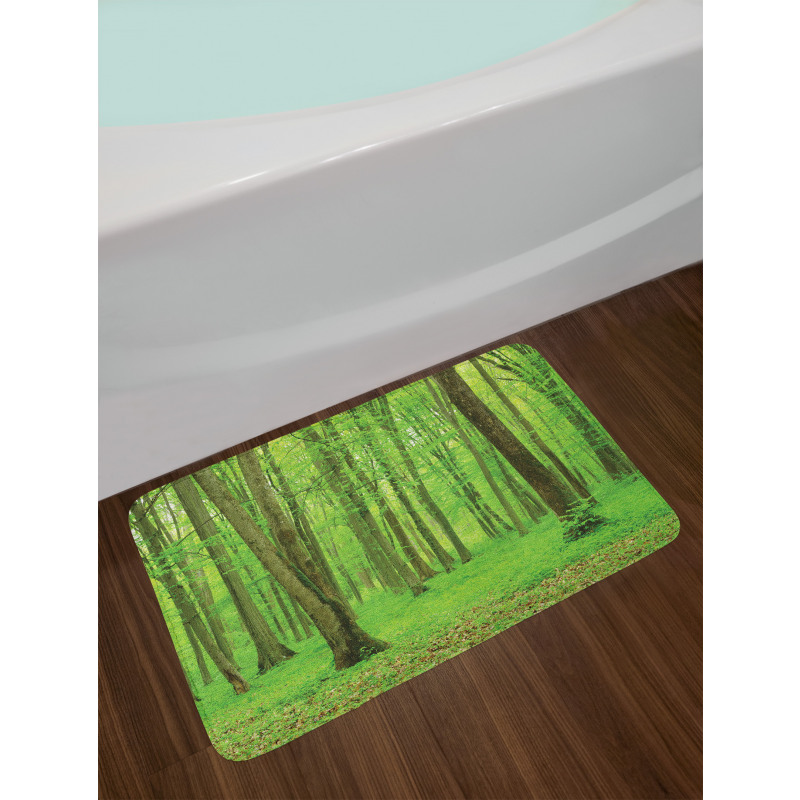 Forest in a Sunny Day Bath Mat