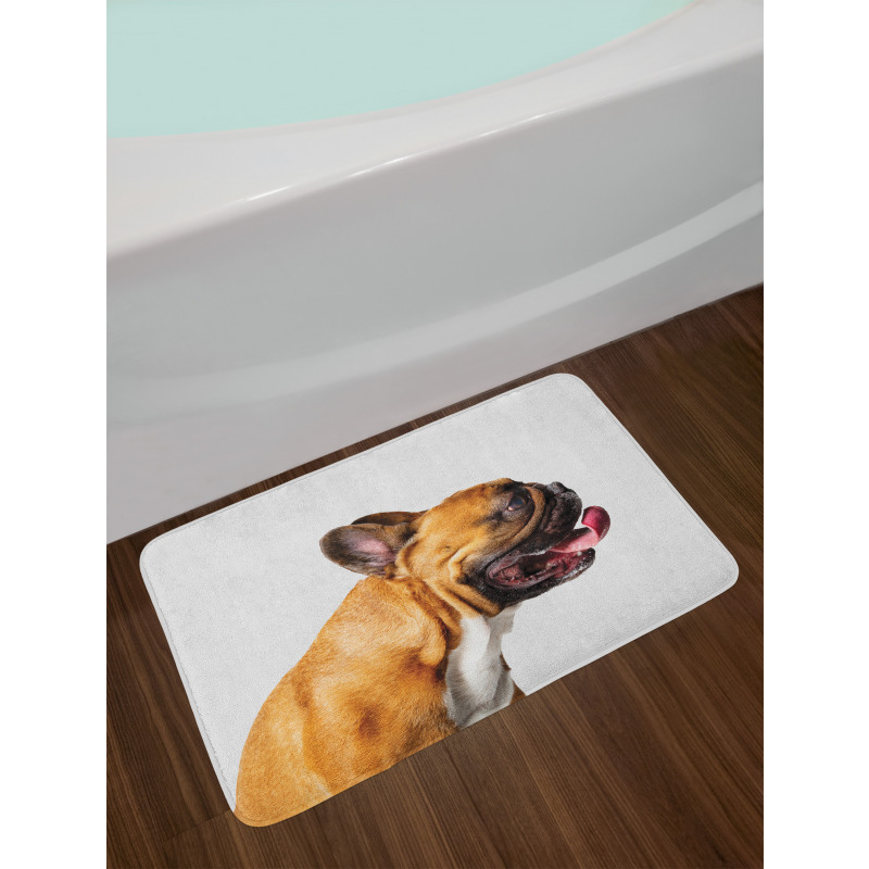 Young Pet Posing Side Shot Bath Mat