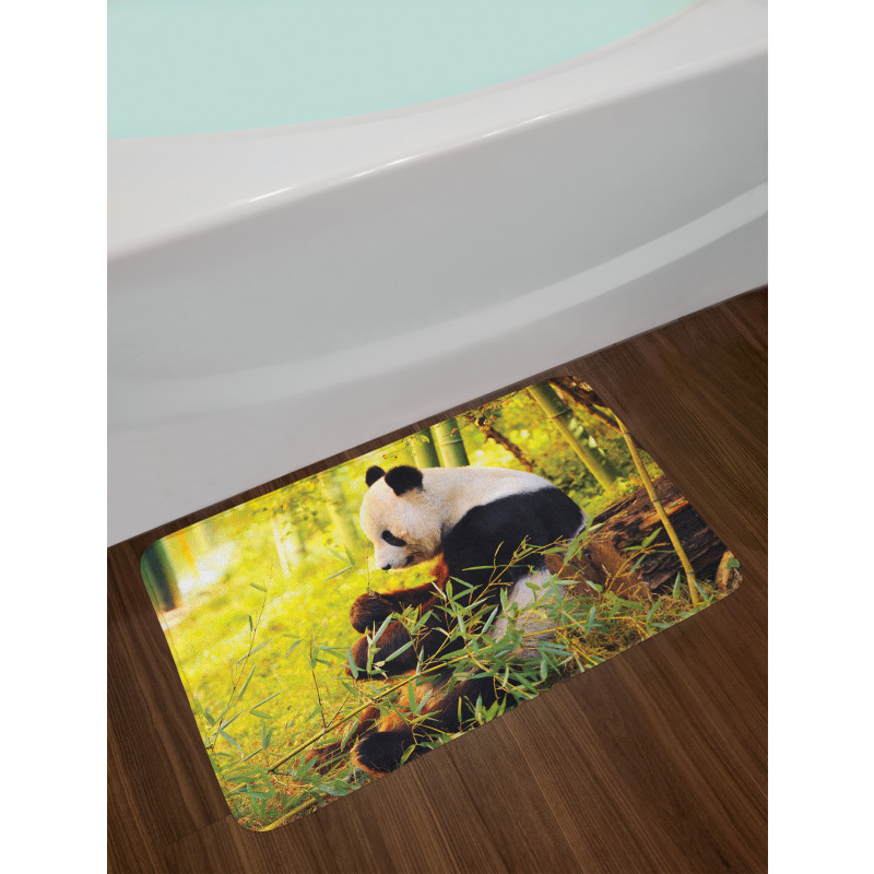 Panda Sitting in Forest Bath Mat