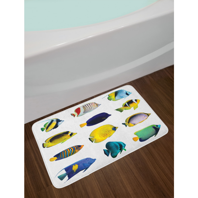 Collage of Sea Animals Bath Mat