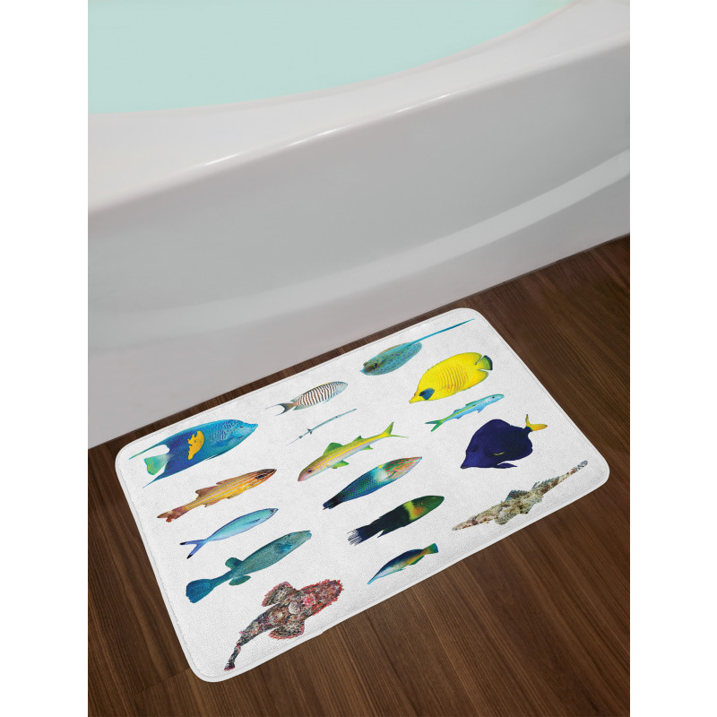 Marine Life Creatures Bath Mat