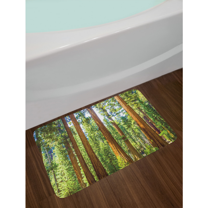 Braches in Spring Bath Mat