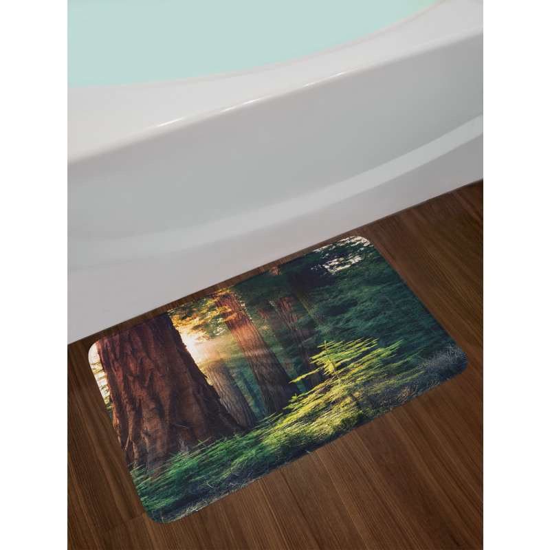 Nevada Morning Sun Bath Mat