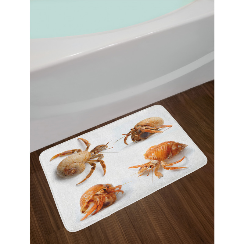 Hermit Crabs Pattern Bath Mat