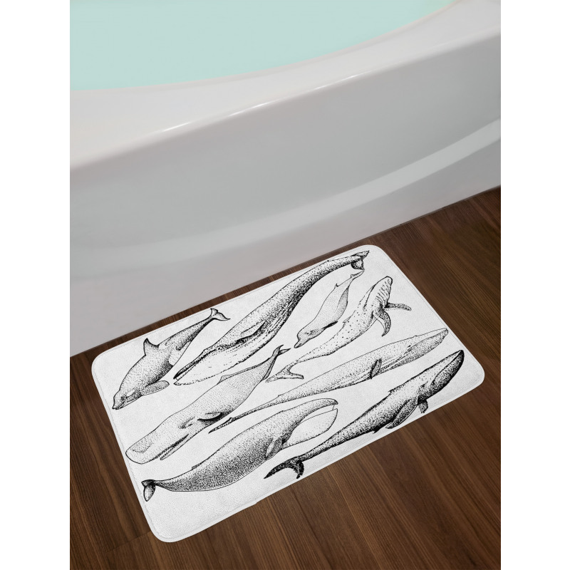 Hand Drawn Single Whale Bath Mat