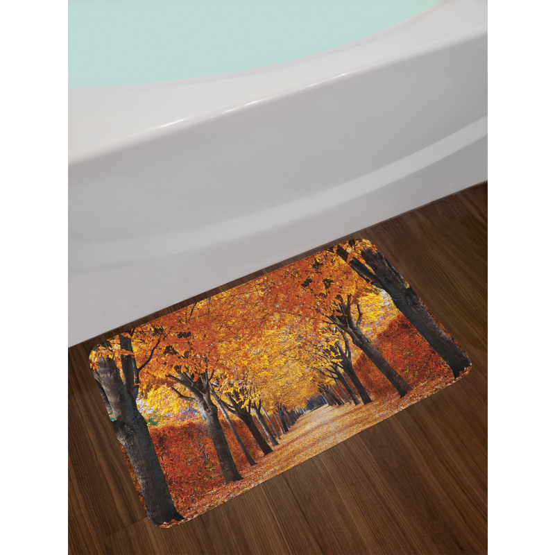 Pathway in the Woods Bath Mat