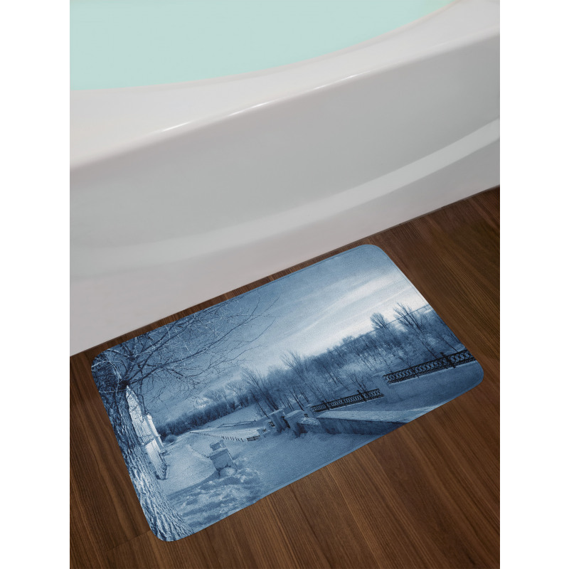 Ice Cold Snowy Scenery Bath Mat