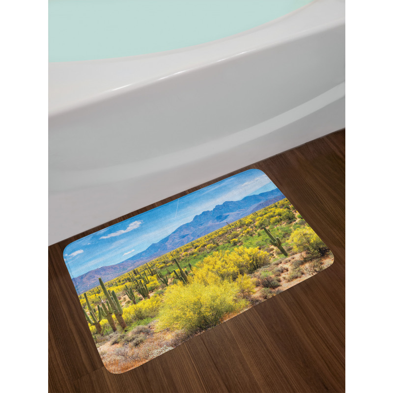 Landscape of Desert Bath Mat