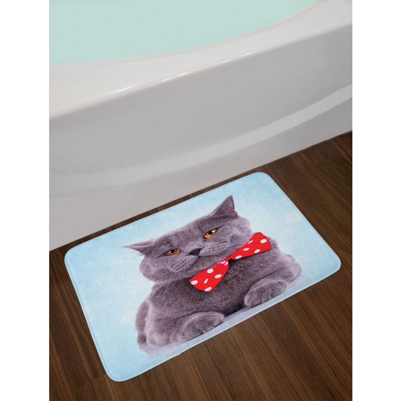 Grey Scottish Fold Theme Bath Mat