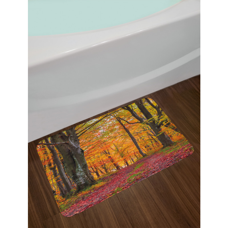 Shady Deciduous Trees Bath Mat