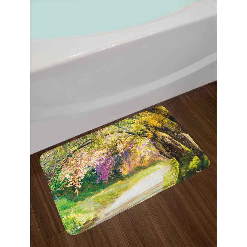 Spring Park Walkway Bath Mat