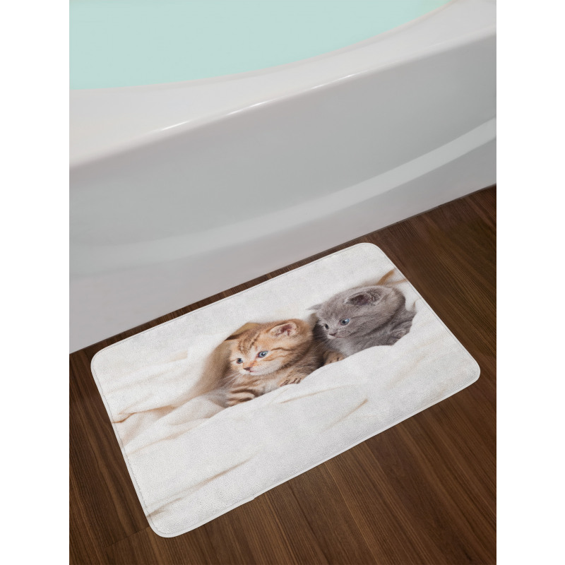 Scottish Fold Kittens Bath Mat