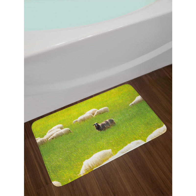 Black Sheep White Goats Bath Mat