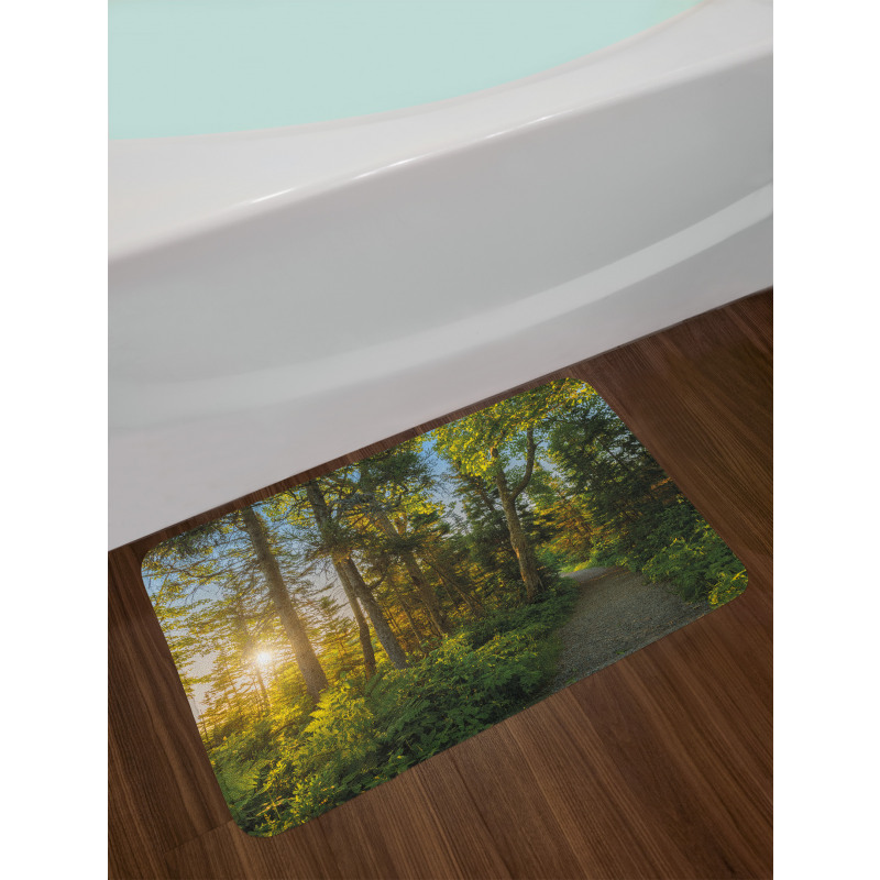 National Park Trees Path Bath Mat