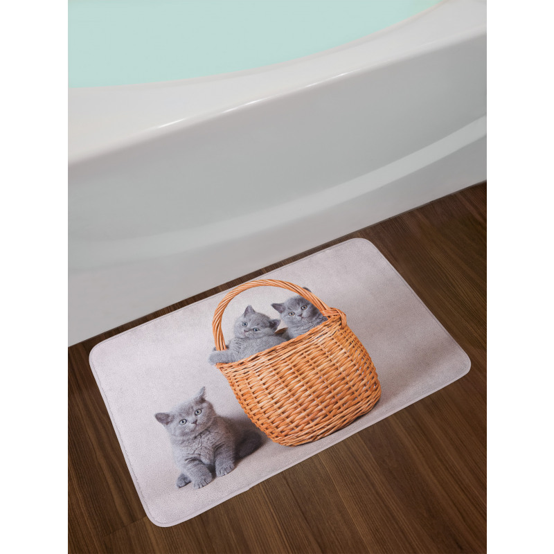 British Cats in Basket Bath Mat