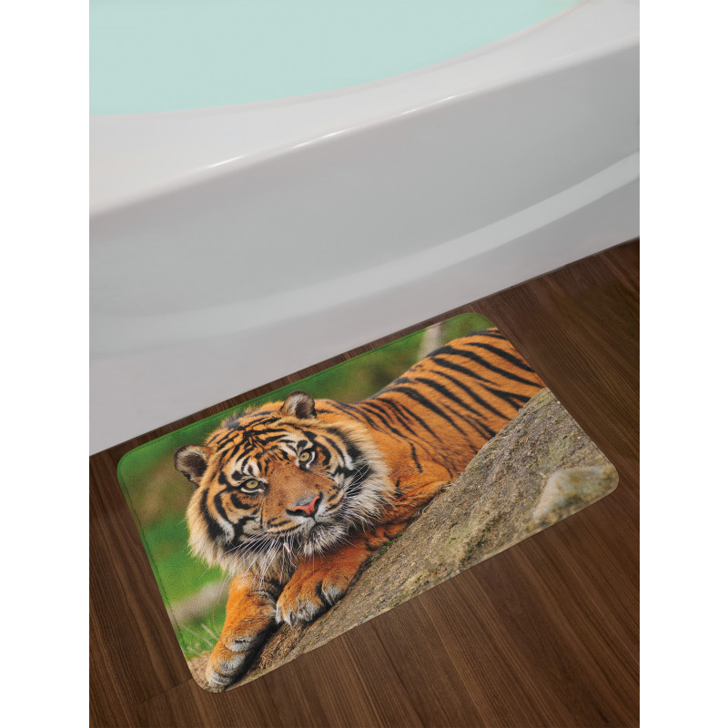 Tiger Crouching on Rock Bath Mat