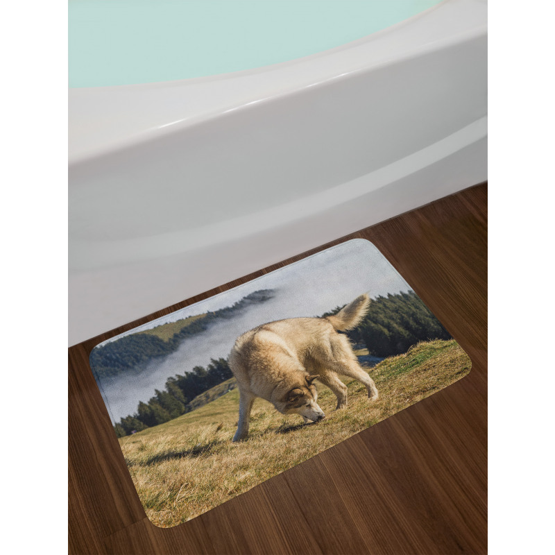 Purebred Dog Bath Mat