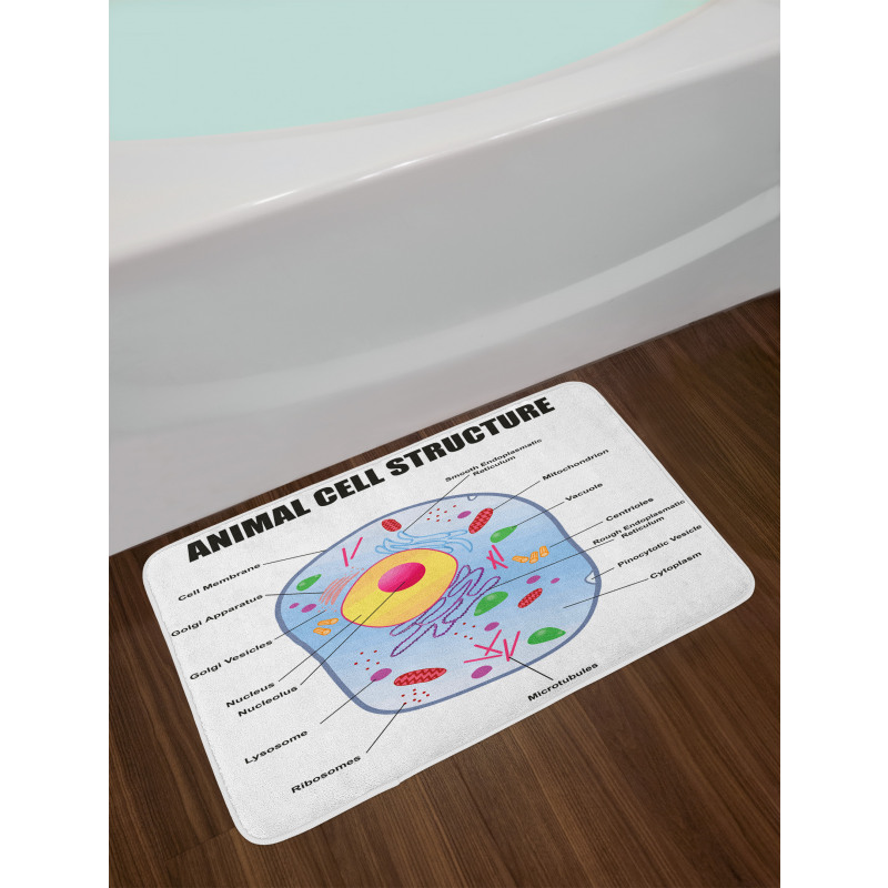 Animal Cell Study Bath Mat