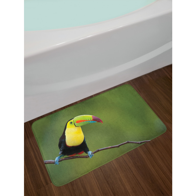 Keel Billed Toucan Bath Mat