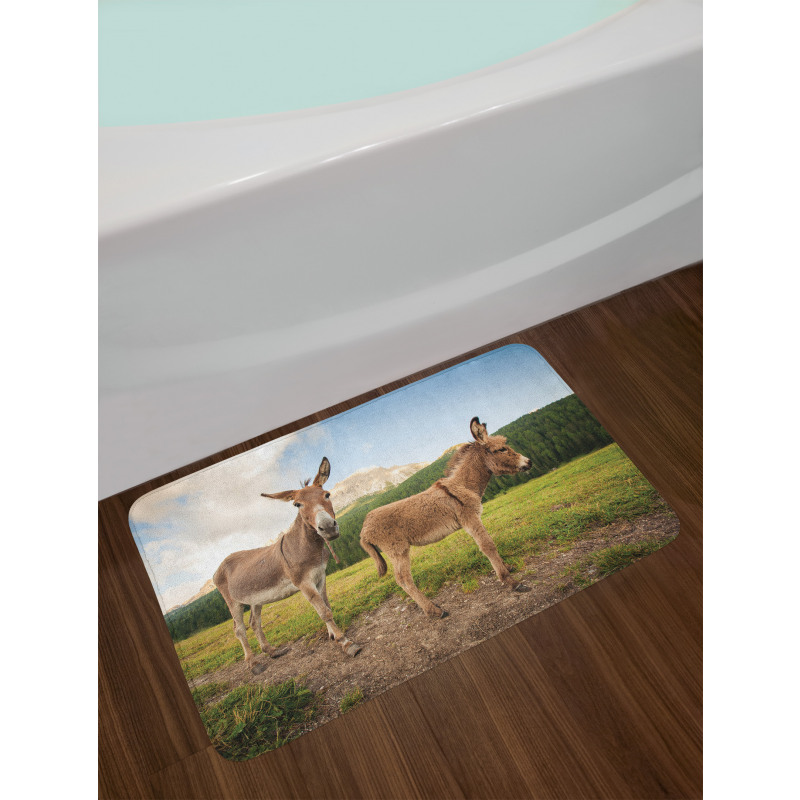 Dolomites Italy Countryside Bath Mat