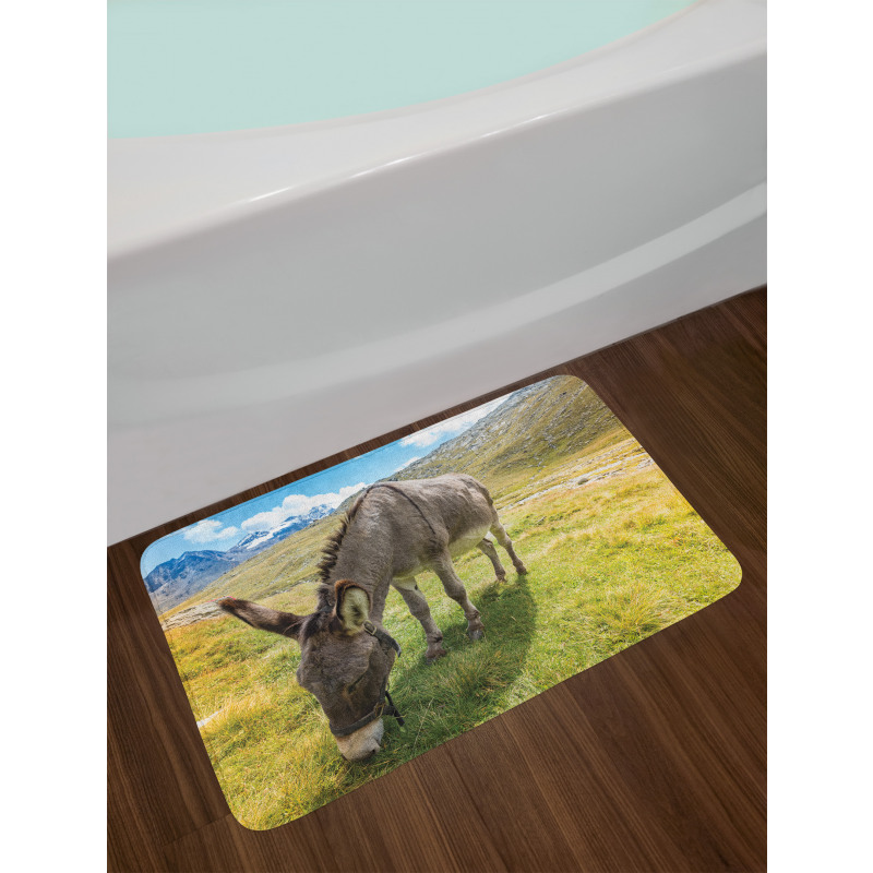 Donkey Eating Grass Mountain Bath Mat