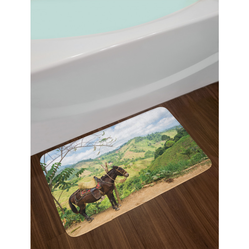 Rural ColumbiMountains Bath Mat