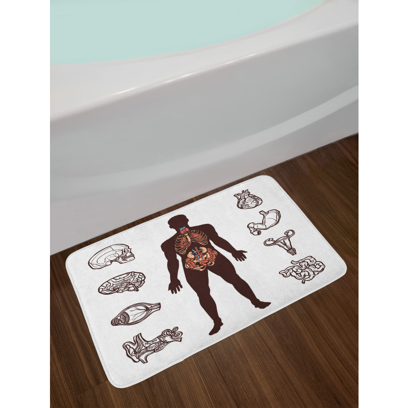 Organs Infographic Image Bath Mat