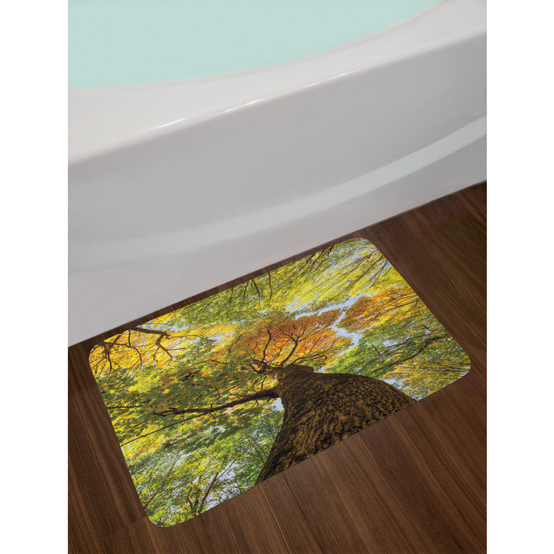 Autumn Tree of Nature Photo Bath Mat