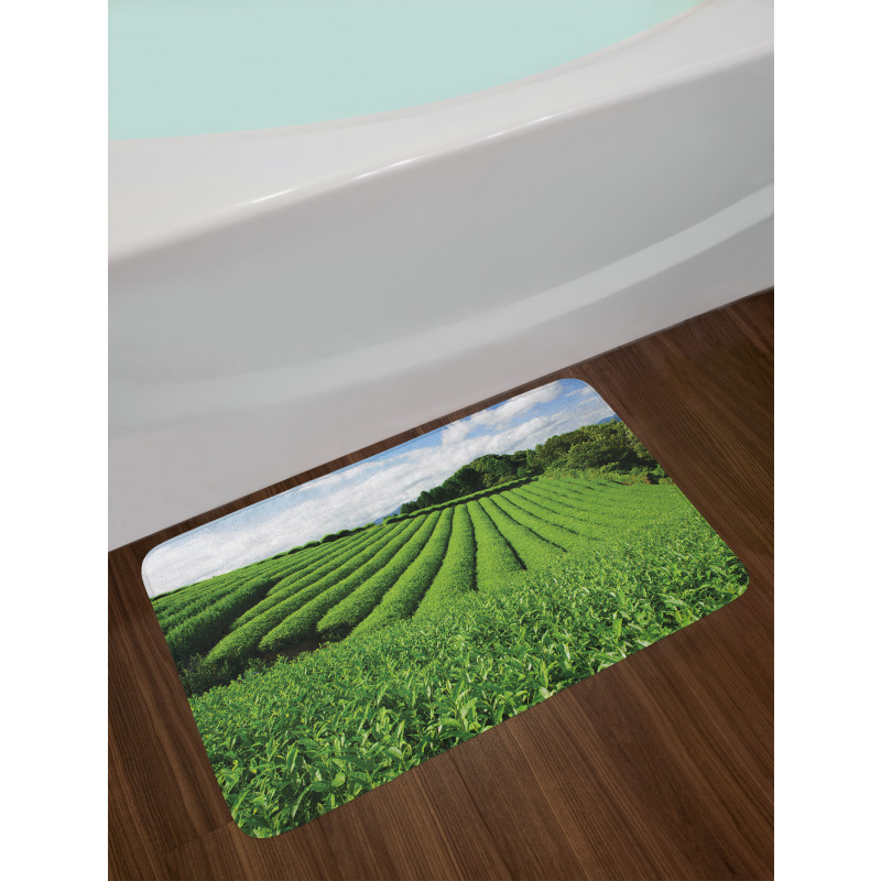 Sunny Landscape Tea Fields Bath Mat